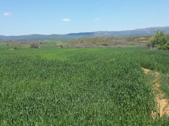 ÇANAKKALE GELİBOLU EVREŞE SATILIK YATIRIMLIK 6300 M2 UYGUN ARAZİ