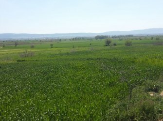 ÇANAKKALE GELİBOLU EVREŞE SATILIK YATIRIMLIK 6300 M2 UYGUN ARAZİ