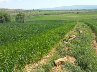 ÇANAKKALE GELİBOLU EVREŞE SATILIK YATIRIMLIK 6300 M2 UYGUN ARAZİ