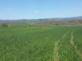 ÇANAKKALE GELİBOLU EVREŞE SATILIK YATIRIMLIK 6300 M2 UYGUN ARAZİ