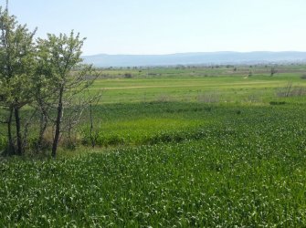 ÇANAKKALE GELİBOLU EVREŞE SATILIK YATIRIMLIK 6300 M2 UYGUN ARAZİ