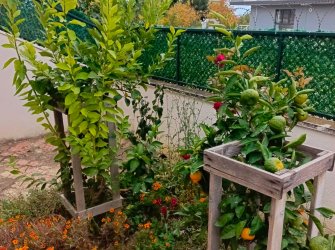 YENİÇİFTLİK ALTINTARLA CADDE ÜZERİ SATILIK 6+1 BAKIMLI LÜX VİLLA